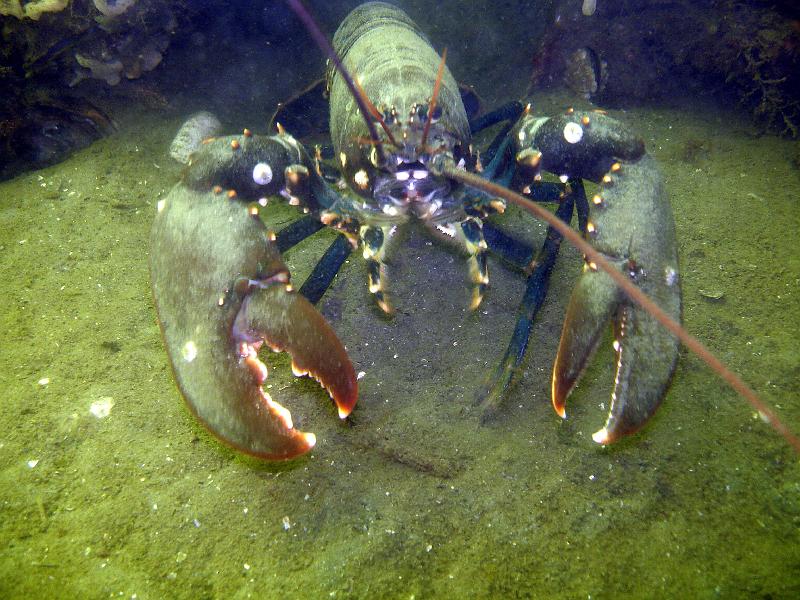 07 ZL 005.JPG